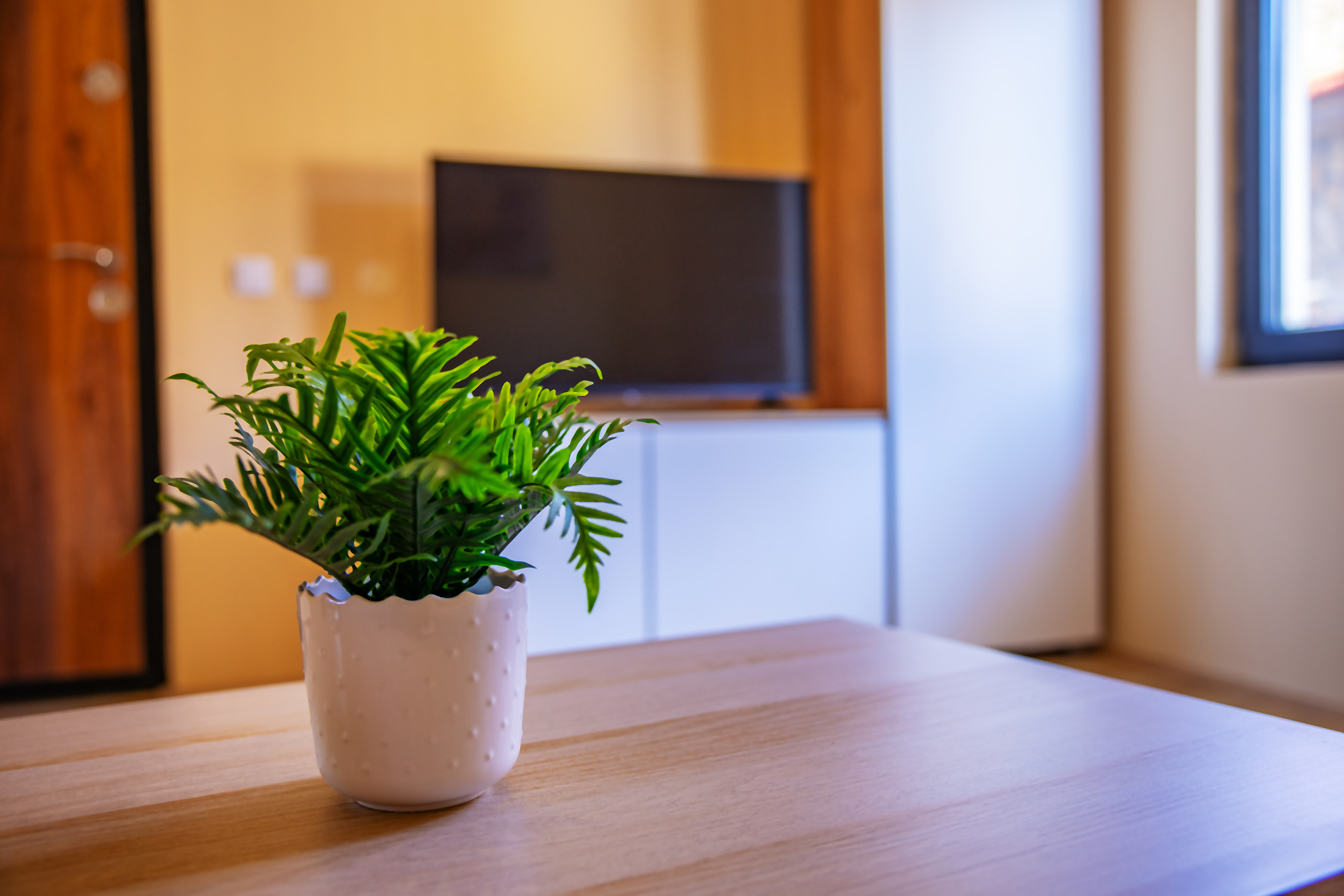Suite apartman za porodice i grupe